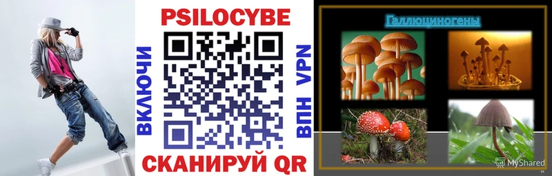 Псилоцибиновые грибы Cubensis  купить   Жуков 